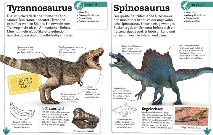 Immagine prodotto Dinosaurier (Tedesco, DK Verlag - Bambini, Preside Lomax, Eva Sixt, 2021)