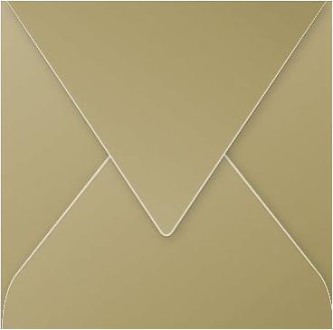 Produktbild Pollen Umschläge (140 x 140 mm, 20 x)