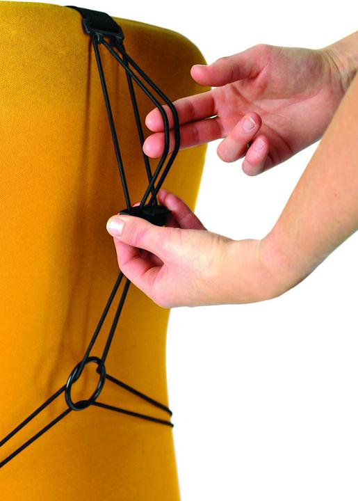 Actual product image Fellowes Back support