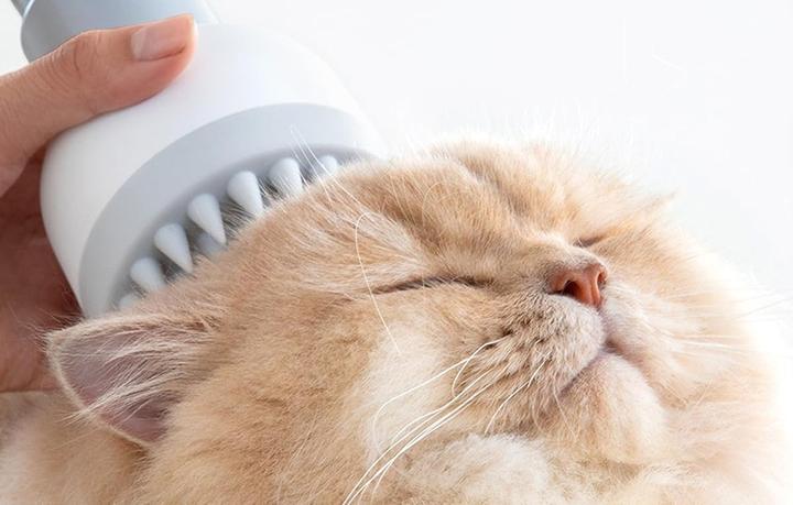 Actual product image HomeRunPet Odkurzacz / Zestaw do pielęgnacji sierści zwierząt HC15 (Cat, Dog)