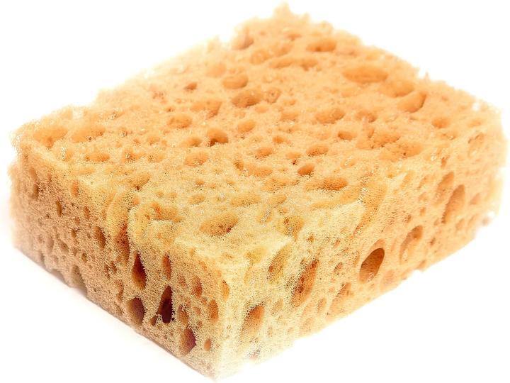 Collonil Sponge (1 x)