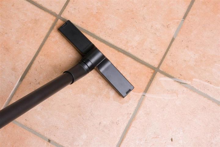 Actual product image Ubbink VacuProCleaner Maxi