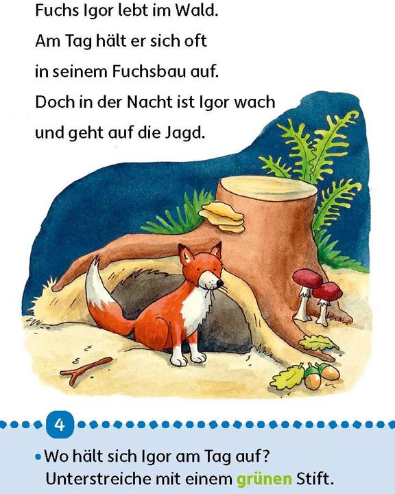 Produktbild Lesen lernen 1. Klasse für Jungen und Mädchen - Tiergeschichten (Deutsch, Carola Materna, Susanne Schulte, 2020)