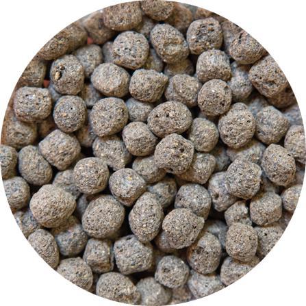 Produktbild Kobre San Koifutter Adult Gold Line