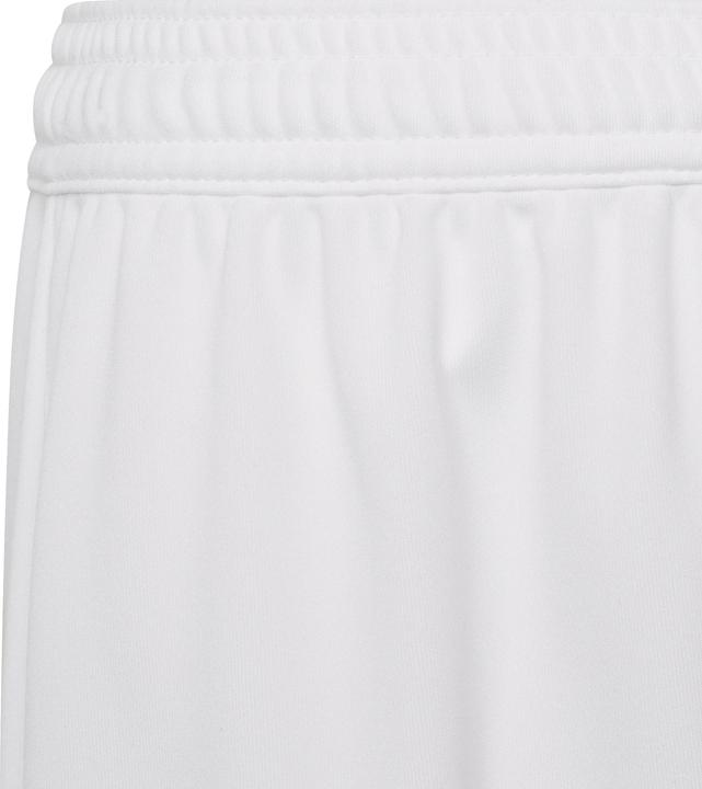 Actual product image adidas Entrada 22 Shorts (152)