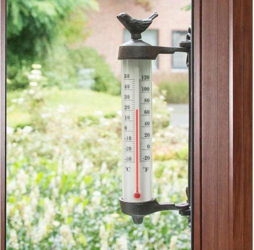 Produktbild Esschert Design Thermometer Vogel