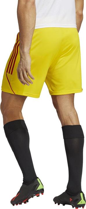 Actual product image adidas Tiro 23 training shorts men (XS)