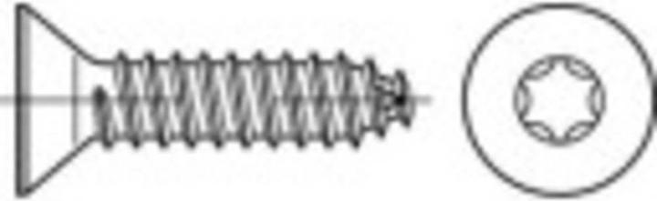 Immagine prodotto Toolcraft Viti autofilettanti a testa svasata 5,5 mm 100 (100 Viti per pezzo)