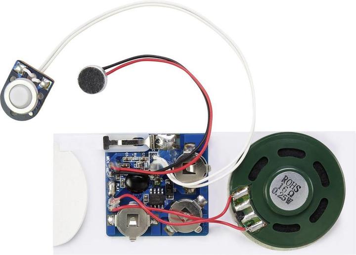 Conrad Components Module d'enregistrement sonore Componen