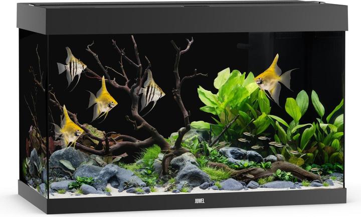 Juwel Aquarium Aquarium Rio 290, noir (290 l)