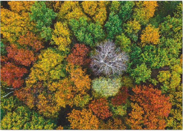 Actual product image Dodo Puzzle Dzembronya, Ukraine 1000 Teile (1000 pieces)