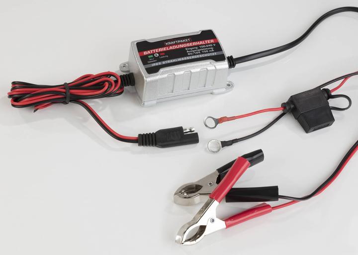Produktbild Dino Automatikladegerät (12V, 6V, 0.75 A)
