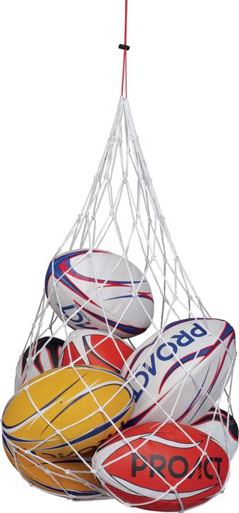 Actual product image Proact Net for balls