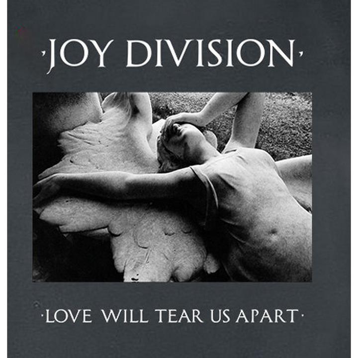 Immagine prodotto Amplified Love Will Tear Us Apart Maglietta Joy Division Donna (XS)