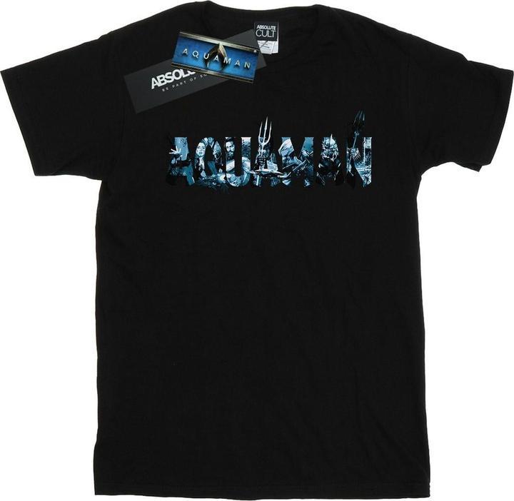 Aquaman Text Logo TShirt (M)