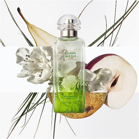 Actual product image Hermès Un Jardin sur le Toit (Eau de toilette, 100 ml)