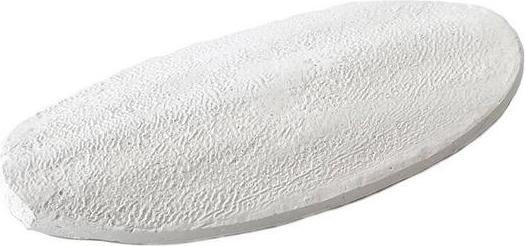 Produktbild Terra della Sepiaschale für Reptilien (0.09 kg)