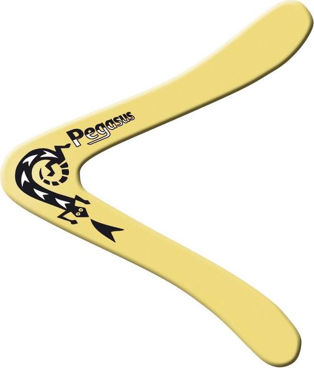 Günther Flugspiele Boomerang Pegasus