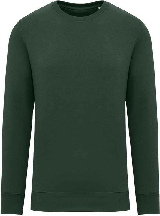 Native Spirit Sweatshirt Rundhalsausschnitt