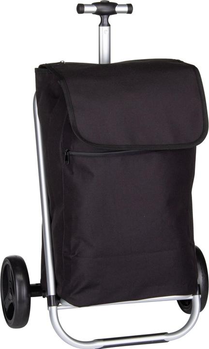 Actual product image reisenthel Shopping Trolley