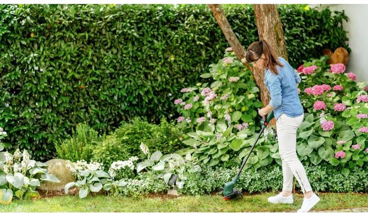 Actual product image Bosch Home & Garden EasyGrassCut 18V-260 (Trim line)