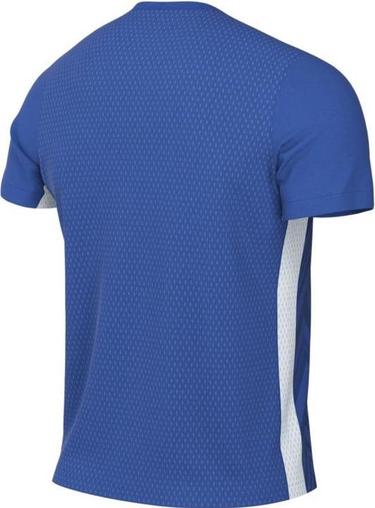 Actual product image Nike Dri-Fit Challenge Trikot (L)