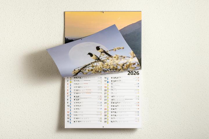 Produktbild Das Mondjahr 2026 - Wandkalender (32 x 28 cm, Harter Einband, Deutsch)