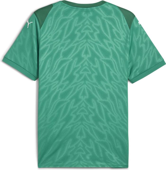 Actual product image Puma teamCUP Jersey (S)