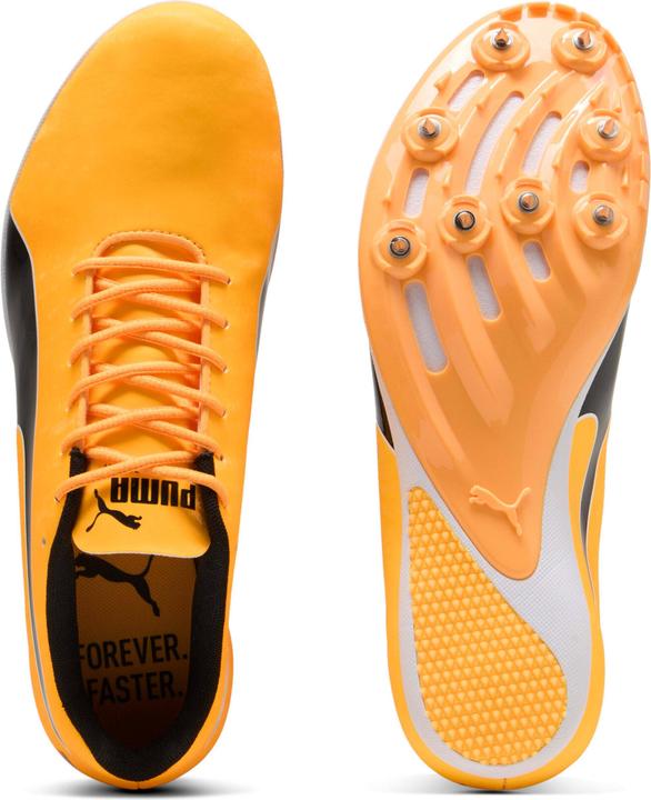 Produktbild Puma evoSPEED Sprint 14.5 (42)