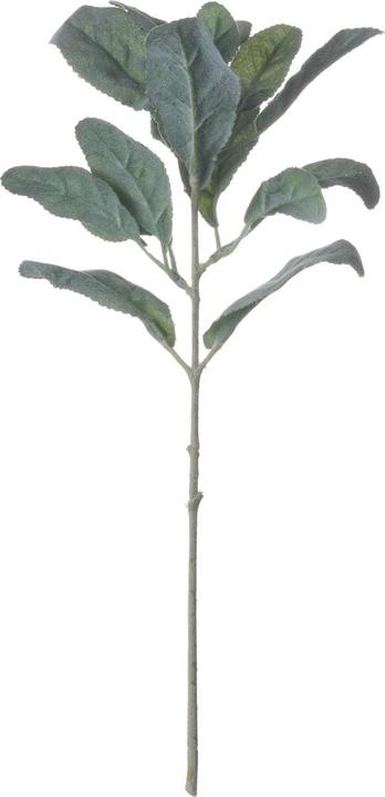 Produktbild Hill Interiors Künstliche Pflanze Lämmer Ohr (35 cm)