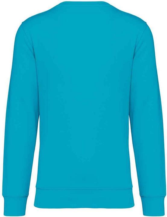 Immagine prodotto Native Spirit Felpa Girocollo Adulto Unisex (L)