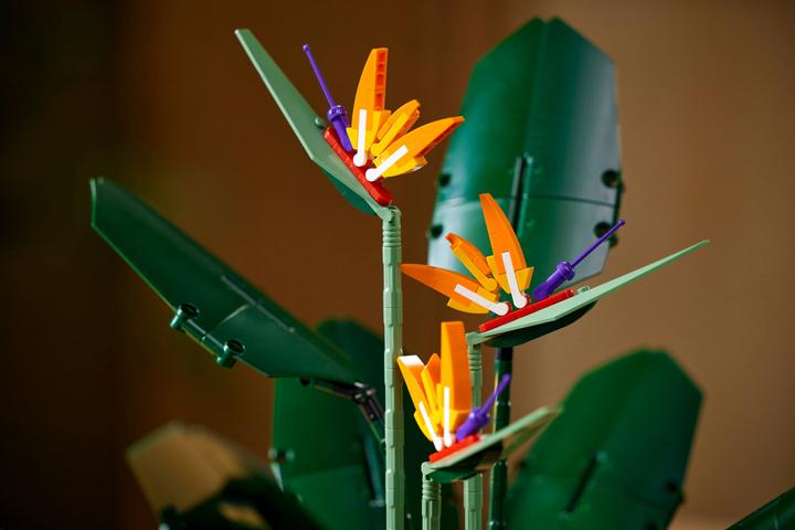 Image du produit LEGO Oiseau de Paradis (10289, LEGO difficiles à trouver)