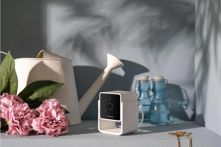 Actual product image Petcube Pet Camera (Catmint toy)