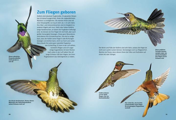 Image du produit Entdecke die Kolibris (Allemand, Leonie Proscurcin, 2016)