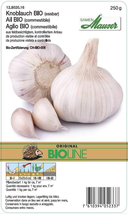 Samen Mauser Knoblauch (Gemüsesamen)