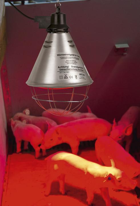 Produktbild Kerbl Infrarot Wärmestrahler für Ferkel / Küken (ohne Lampe, Alu-Schirm? 21 cm, Kabel 2,5 m, inkl.