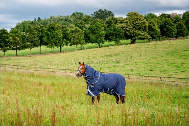 Produktbild Horseware Weidedecke Rhino Plus Turnout 100g