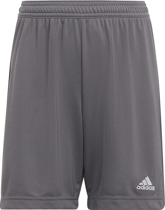 Image du produit adidas Entrada 22 Shorts (128)