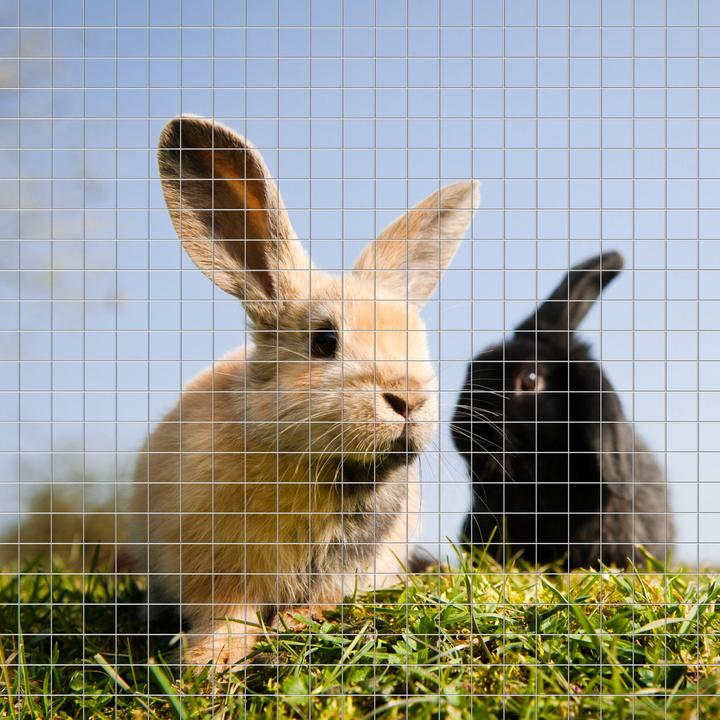 Produktbild Wiltec Volierendraht 1,1x2,1m Hasendraht 6,3mm Maschenweite Hühnerdraht Voliere