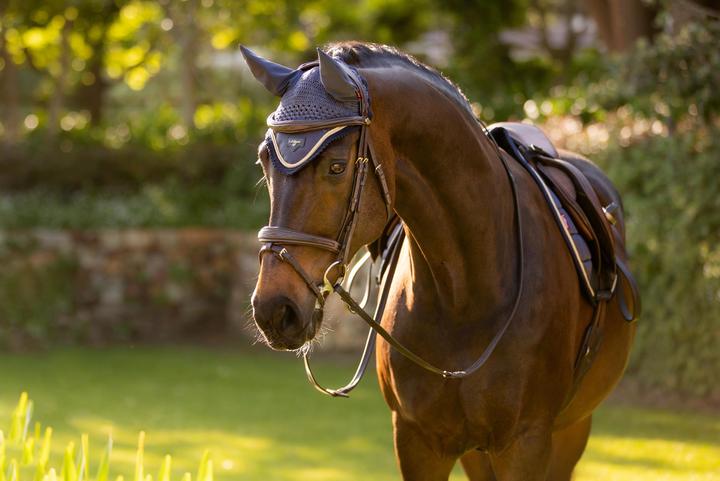 Actual product image LeMieux Loire