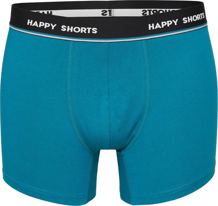 Actual product image Phil & Co. Berlin Retro Pants All Styles (L, pack of 4)