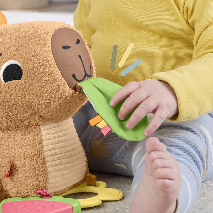 Productafbeelding Fisher-Price Kuschel-Capybara (24.10 cm)