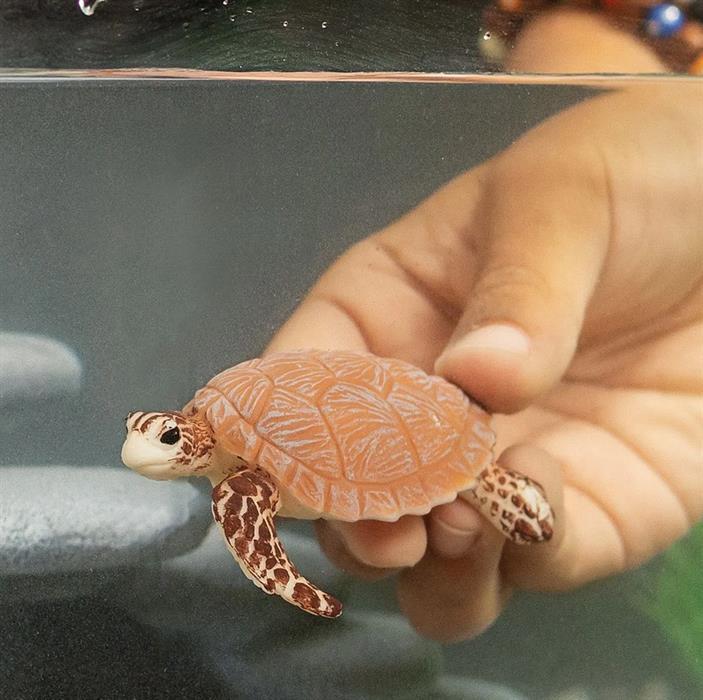 Produktbild Schleich Echte Karettschildkröte