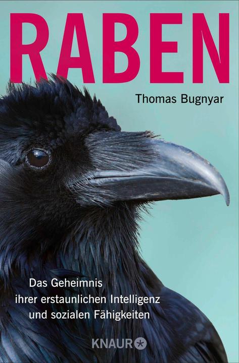 Produktbild Raben (Deutsch, Thomas Bugnyar, 2024)