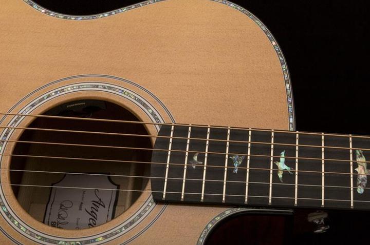 Actual product image PRS Se A50e (Semi acoustic guitar, Maple, Spruce)