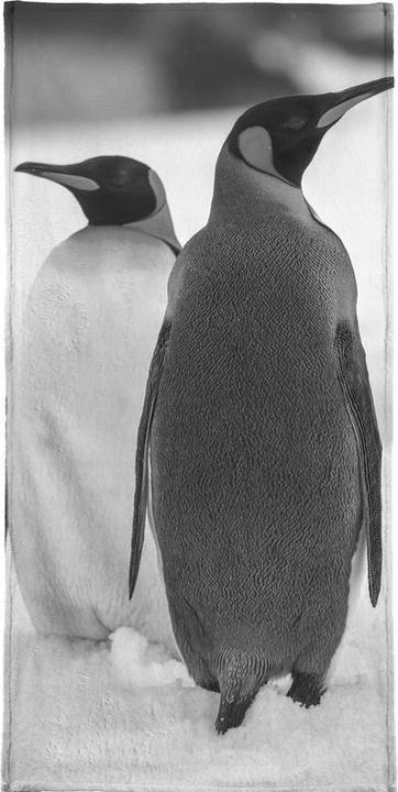 Actual product image Juniqe The Penguins - Penguins (70 x 140 cm)