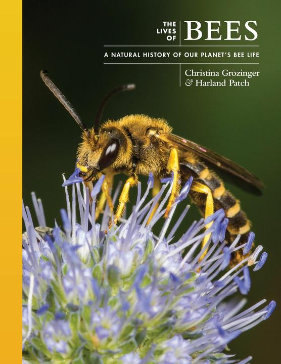 Produktbild The Lives of Bees (Englisch, Christina Grozinger, Harland Patch, 2024)