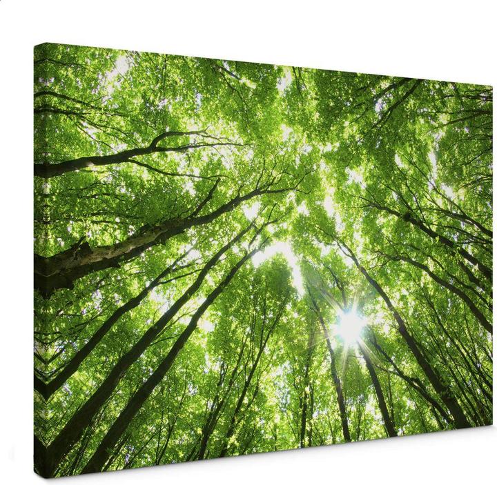 Produktbild Trenddeko Sunny Forest 2 (45 x 30 cm)