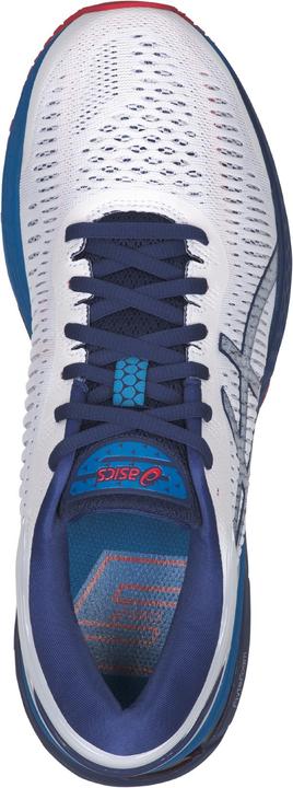 Actual product image ASICS Performance Gel-Kayano 25 (43.5)