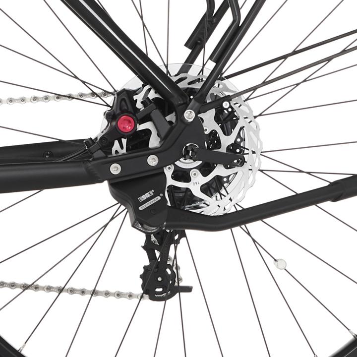 Immagine prodotto Fischer Bicicletta da trekking Terra 5.0i (44 cm)